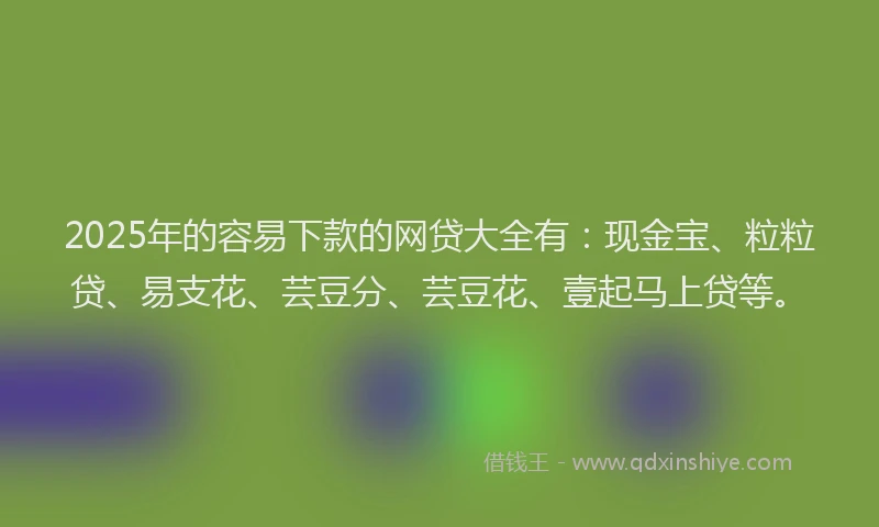 2025年的容易下款的网贷大全有：现金宝、粒粒贷、易支花、芸豆分、芸豆花、壹起马上贷等。