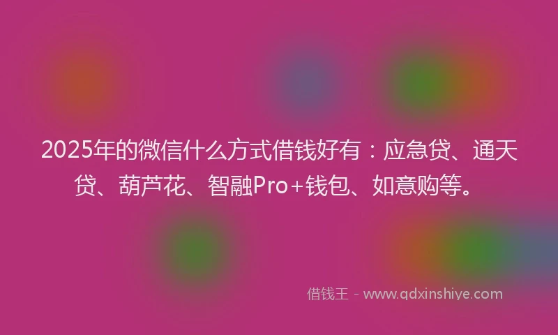 2025年的微信什么方式借钱好有：应急贷、通天贷、葫芦花、智融Pro+钱包、如意购等。