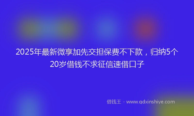 2025年最新微享加先交担保费不下款，归纳5个20岁借钱不求征信速借口子