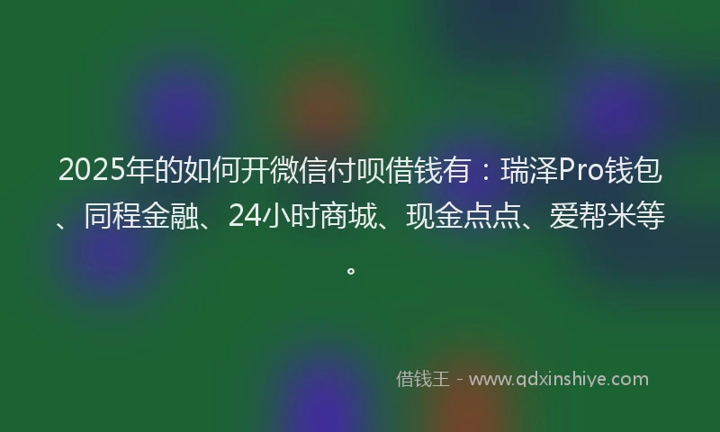 2025年的如何开微信付呗借钱有：瑞泽Pro钱包、同程金融、24小时商城、现金点点、爱帮米等。