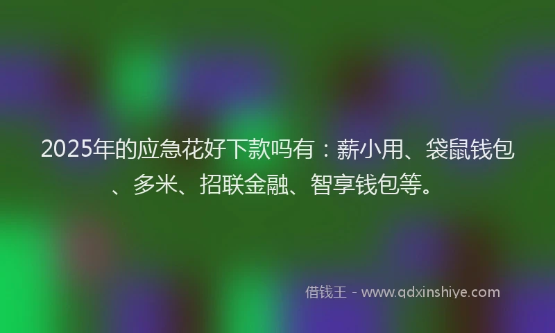 2025年的应急花好下款吗有：薪小用、袋鼠钱包、多米、招联金融、智享钱包等。