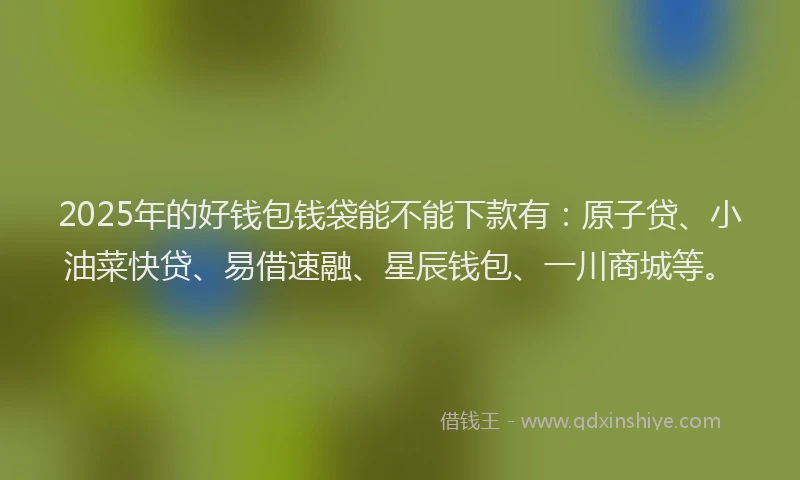 2025年的好钱包钱袋能不能下款有：原子贷、小油菜快贷、易借速融、星辰钱包、一川商城等。