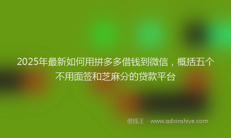 2025年最新如何用拼多多借钱到微信，概括五个不用面签和芝麻分的贷款平台