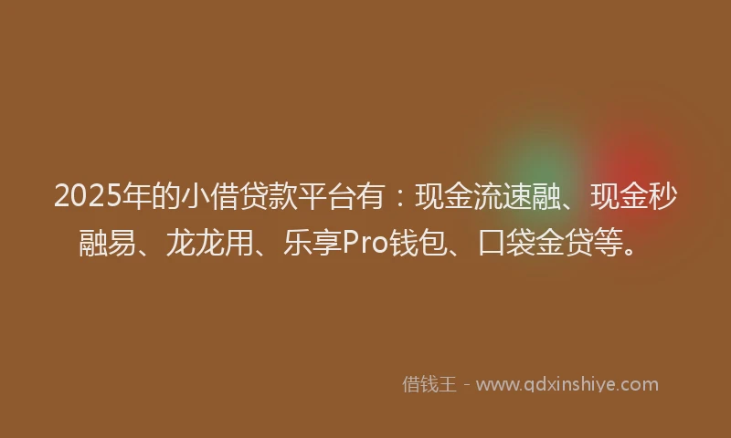 2025年的小借贷款平台有：现金流速融、现金秒融易、龙龙用、乐享Pro钱包、口袋金贷等。