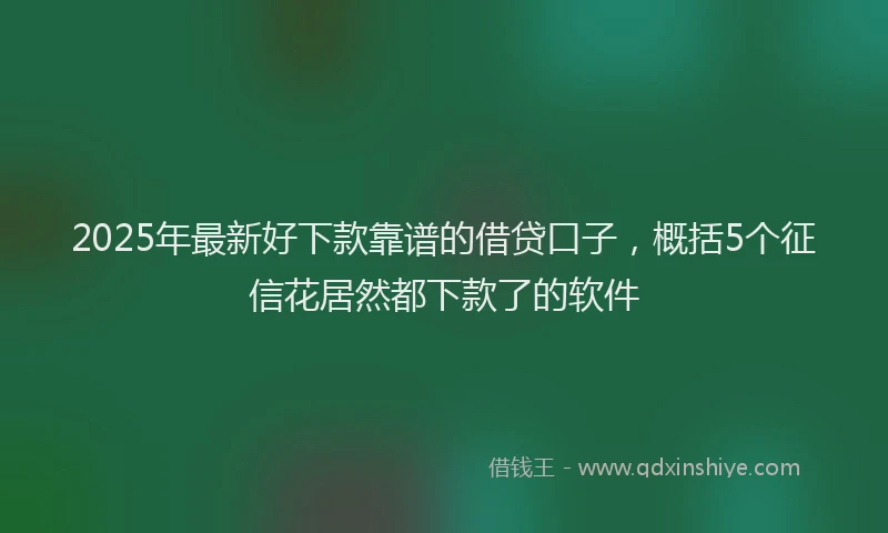 2025年最新好下款靠谱的借贷口子，概括5个征信花居然都下款了的软件