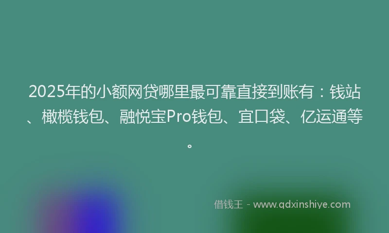 2025年的小额网贷哪里最可靠直接到账有：钱站、橄榄钱包、融悦宝Pro钱包、宜口袋、亿运通等。