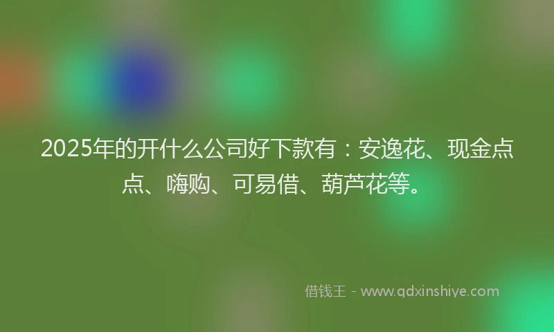 2025年的开什么公司好下款有：安逸花、现金点点、嗨购、可易借、葫芦花等。