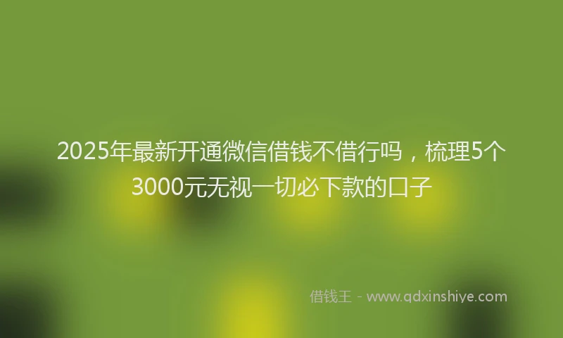 2025年最新开通微信借钱不借行吗，梳理5个3000元无视一切必下款的口子