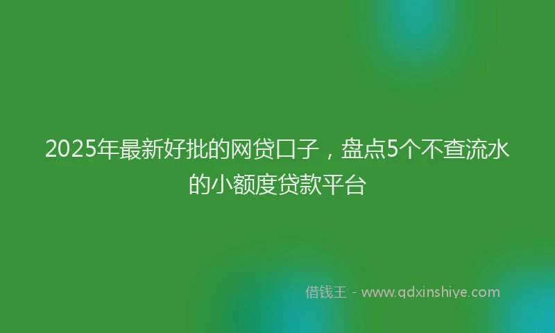 2025年最新好批的网贷口子，盘点5个不查流水的小额度贷款平台
