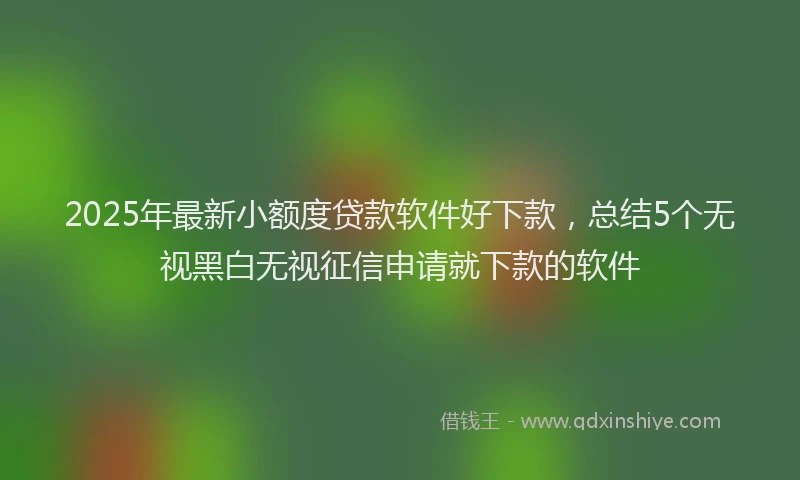 2025年最新小额度贷款软件好下款，总结5个无视黑白无视征信申请就下款的软件