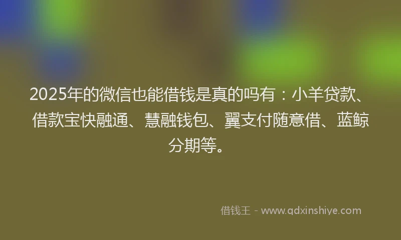 2025年的微信也能借钱是真的吗有：小羊贷款、借款宝快融通、慧融钱包、翼支付随意借、蓝鲸分期等。