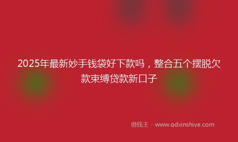 2025年最新妙手钱袋好下款吗，整合五个摆脱欠款束缚贷款新口子