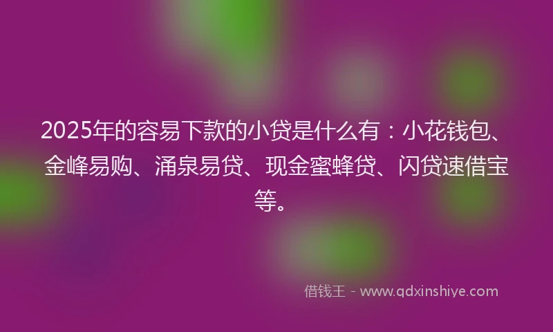 2025年的容易下款的小贷是什么有：小花钱包、金峰易购、涌泉易贷、现金蜜蜂贷、闪贷速借宝等。