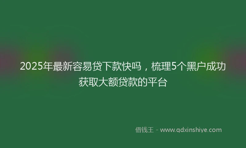 2025年最新容易贷下款快吗，梳理5个黑户成功获取大额贷款的平台