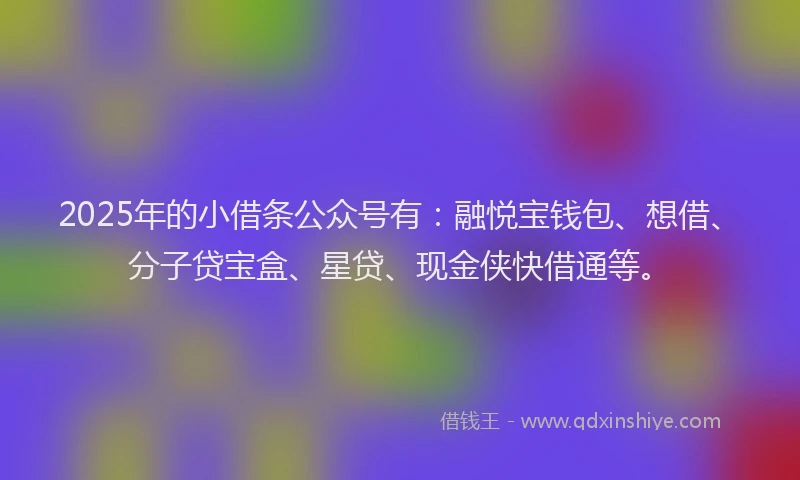 2025年的小借条公众号有：融悦宝钱包、想借、分子贷宝盒、星贷、现金侠快借通等。