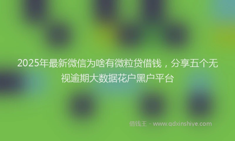 2025年最新微信为啥有微粒贷借钱，分享五个无视逾期大数据花户黑户平台