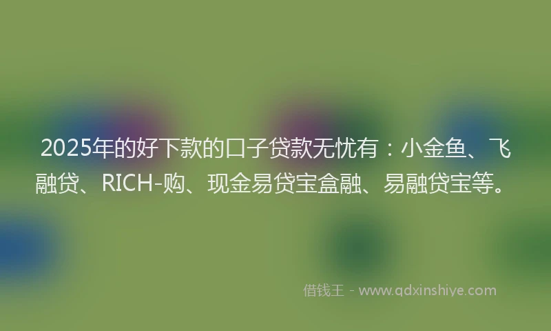 2025年的好下款的口子贷款无忧有：小金鱼、飞融贷、RICH-购、现金易贷宝盒融、易融贷宝等。