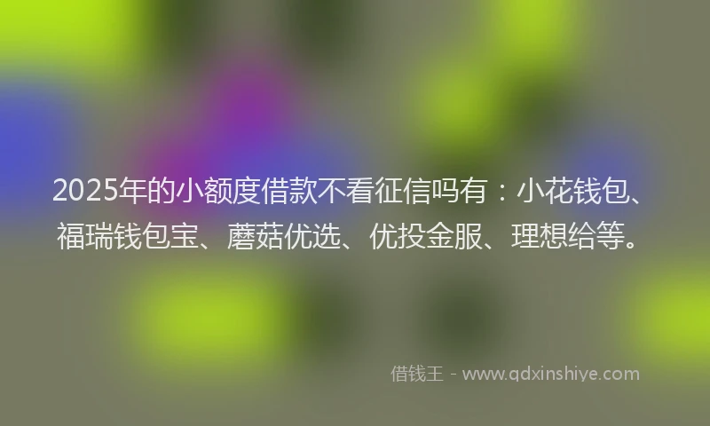 2025年的小额度借款不看征信吗有：小花钱包、福瑞钱包宝、蘑菇优选、优投金服、理想给等。