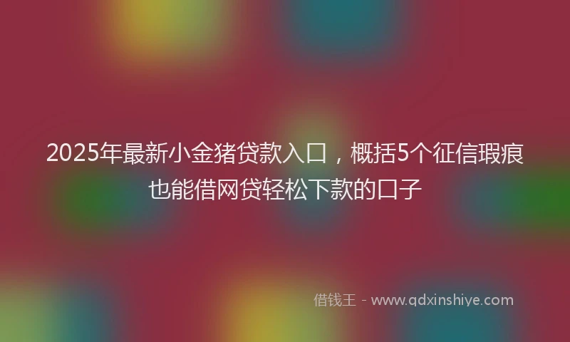 2025年最新小金猪贷款入口，概括5个征信瑕疵也能借网贷轻松下款的口子