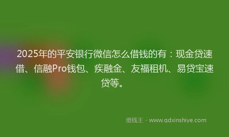 2025年的平安银行微信怎么借钱的有：现金贷速借、信融Pro钱包、疾融金、友福租机、易贷宝速贷等。