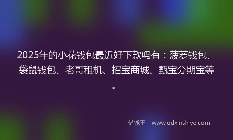 2025年的小花钱包最近好下款吗有：菠萝钱包、袋鼠钱包、老哥租机、招宝商城、甄宝分期宝等。
