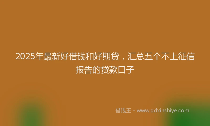 2025年最新好借钱和好期贷，汇总五个不上征信报告的贷款口子