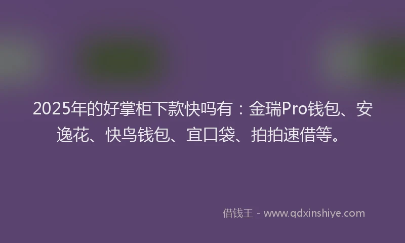 2025年的好掌柜下款快吗有：金瑞Pro钱包、安逸花、快鸟钱包、宜口袋、拍拍速借等。