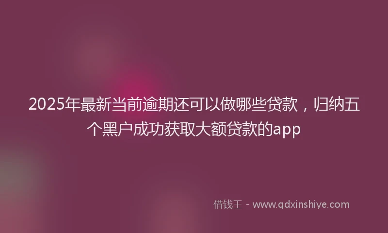 2025年最新当前逾期还可以做哪些贷款，归纳五个黑户成功获取大额贷款的app