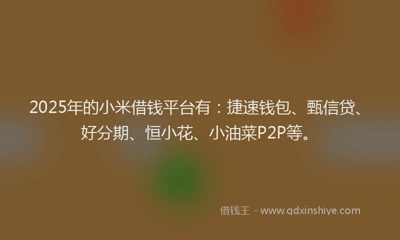 2025年的小米借钱平台有：捷速钱包、甄信贷、好分期、恒小花、小油菜P2P等。