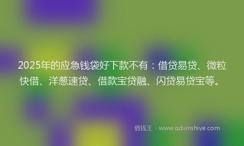 2025年的应急钱袋好下款不有：借贷易贷、微粒快借、洋葱速贷、借款宝贷融、闪贷易贷宝等。