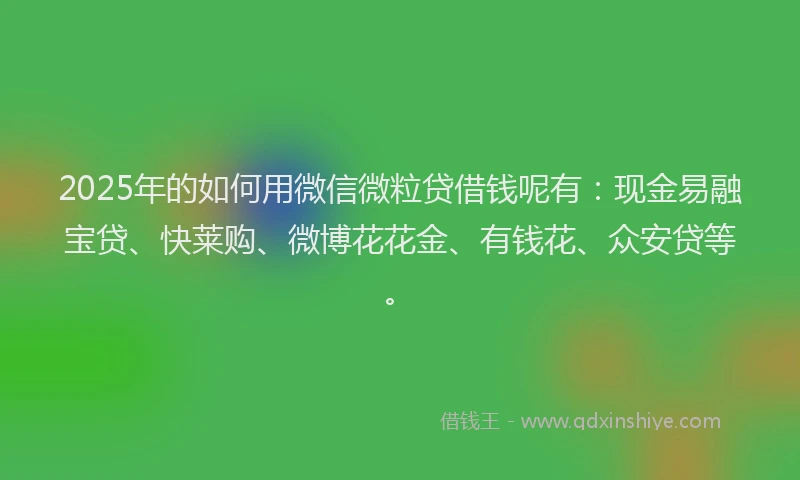 2025年的如何用微信微粒贷借钱呢有：现金易融宝贷、快莱购、微博花花金、有钱花、众安贷等。
