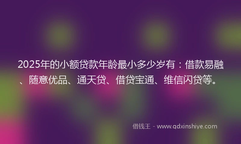 2025年的小额贷款年龄最小多少岁有：借款易融、随意优品、通天贷、借贷宝通、维信闪贷等。