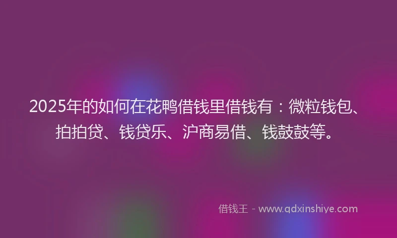 2025年的如何在花鸭借钱里借钱有：微粒钱包、拍拍贷、钱贷乐、沪商易借、钱鼓鼓等。