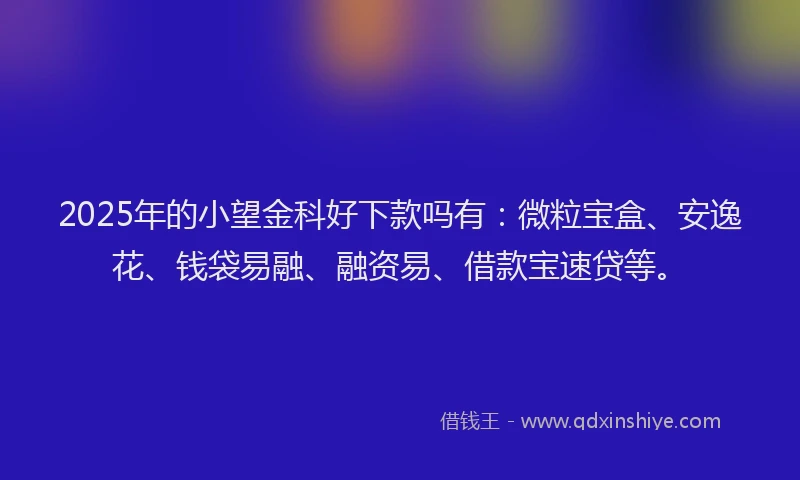 2025年的小望金科好下款吗有：微粒宝盒、安逸花、钱袋易融、融资易、借款宝速贷等。
