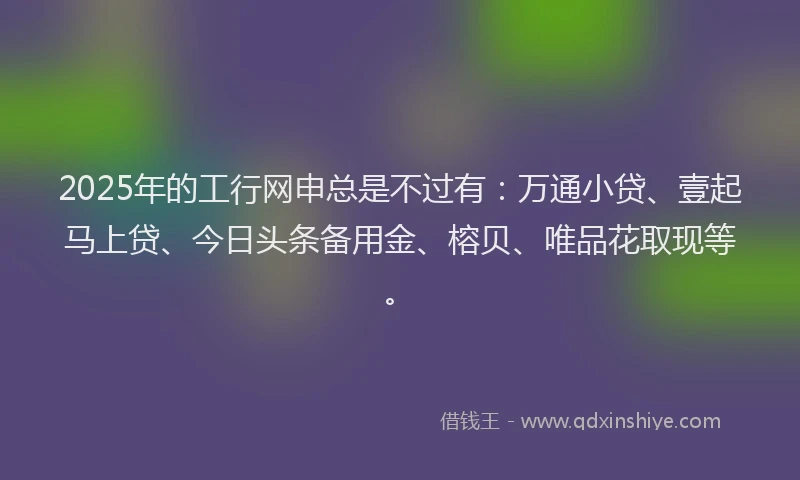 2025年的工行网申总是不过有：万通小贷、壹起马上贷、今日头条备用金、榕贝、唯品花取现等。