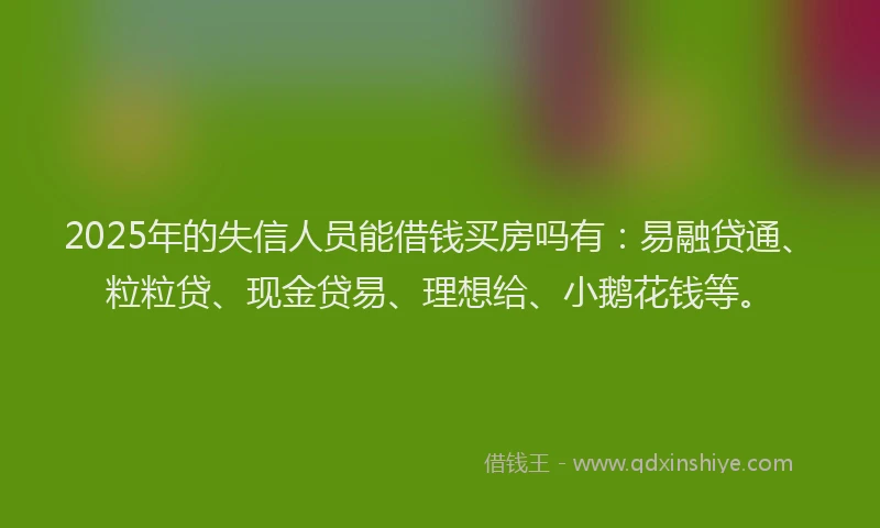2025年的失信人员能借钱买房吗有：易融贷通、粒粒贷、现金贷易、理想给、小鹅花钱等。