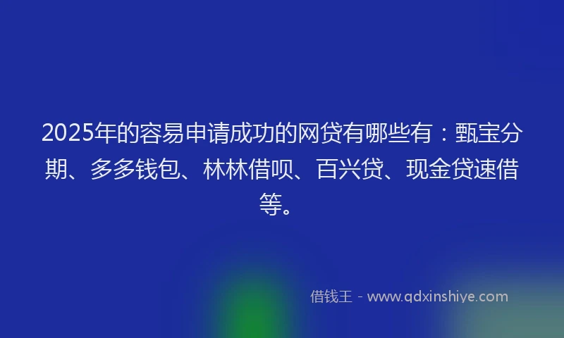 2025年的容易申请成功的网贷有哪些有：甄宝分期、多多钱包、林林借呗、百兴贷、现金贷速借等。