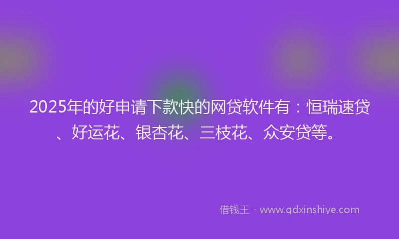 2025年的好申请下款快的网贷软件有：恒瑞速贷、好运花、银杏花、三枝花、众安贷等。
