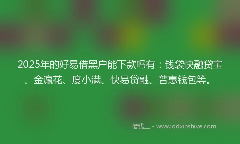 2025年的好易借黑户能下款吗有：钱袋快融贷宝、金瀛花、度小满、快易贷融、普惠钱包等。