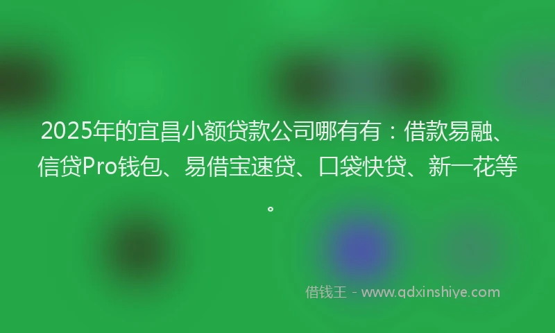 2025年的宜昌小额贷款公司哪有有：借款易融、信贷Pro钱包、易借宝速贷、口袋快贷、新一花等。