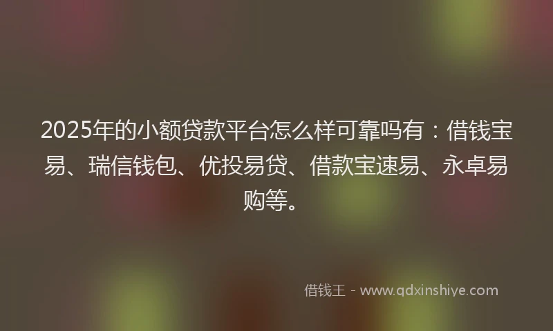 2025年的小额贷款平台怎么样可靠吗有：借钱宝易、瑞信钱包、优投易贷、借款宝速易、永卓易购等。
