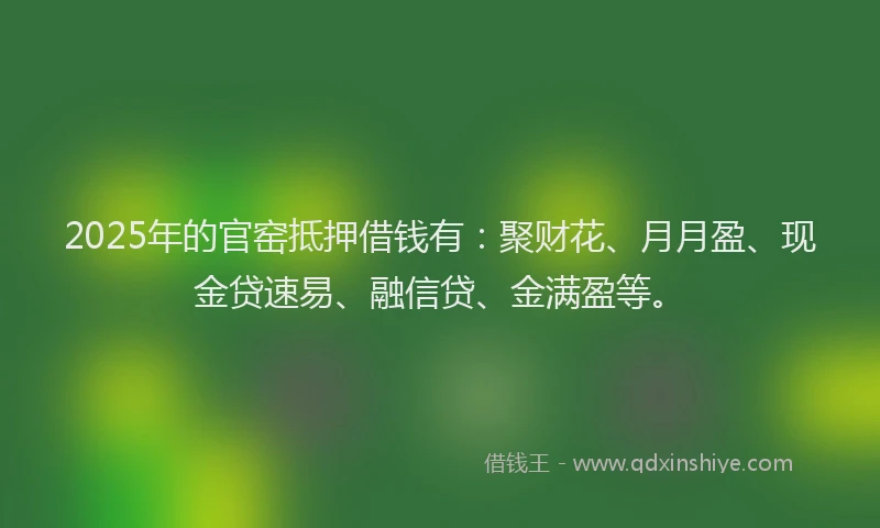 2025年的官窑抵押借钱有：聚财花、月月盈、现金贷速易、融信贷、金满盈等。