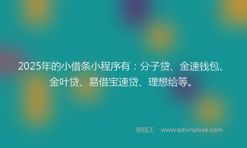 2025年的小借条小程序有：分子贷、金速钱包、金叶贷、易借宝速贷、理想给等。