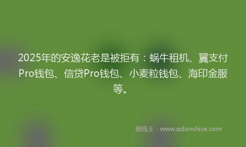 2025年的安逸花老是被拒有：蜗牛租机、翼支付Pro钱包、信贷Pro钱包、小麦粒钱包、海印金服等。