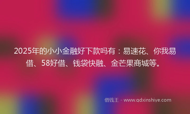 2025年的小小金融好下款吗有：易速花、你我易借、58好借、钱袋快融、金芒果商城等。