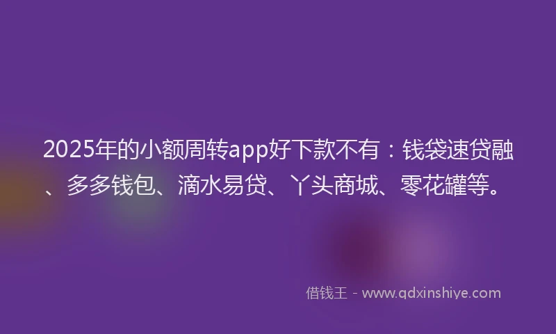 2025年的小额周转app好下款不有：钱袋速贷融、多多钱包、滴水易贷、丫头商城、零花罐等。