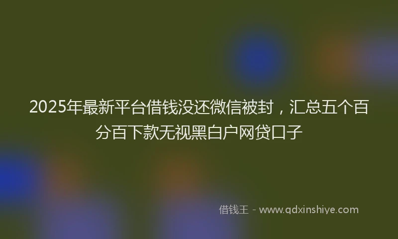 2025年最新平台借钱没还微信被封，汇总五个百分百下款无视黑白户网贷口子