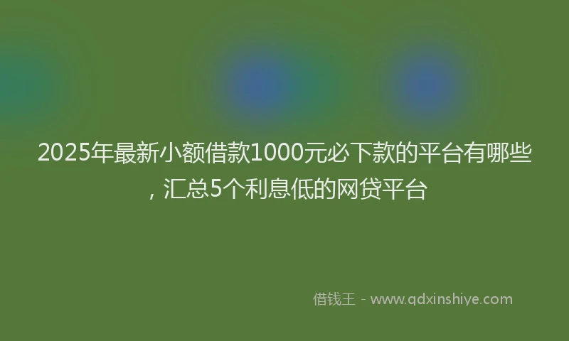 2025年最新小额借款1000元必下款的平台有哪些，汇总5个利息低的网贷平台