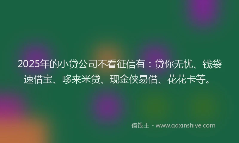 2025年的小贷公司不看征信有：贷你无忧、钱袋速借宝、哆来米贷、现金侠易借、花花卡等。