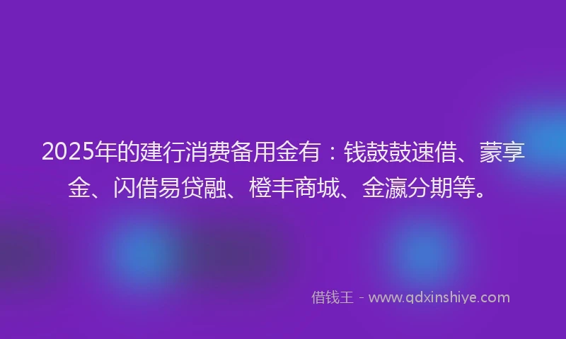 2025年的建行消费备用金有：钱鼓鼓速借、蒙享金、闪借易贷融、橙丰商城、金瀛分期等。